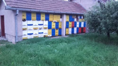 Pomoćna društva.