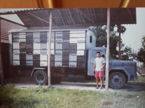 Fotografija kamiona sa pčelama  iz 1997. godine.